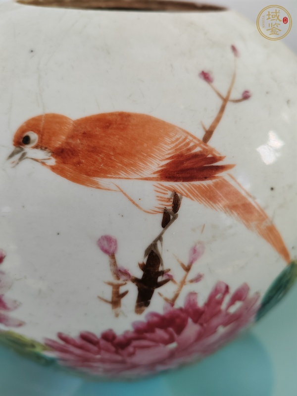 古玩陶瓷粉彩花鳥(niǎo)紋罐，1908年真品鑒賞圖