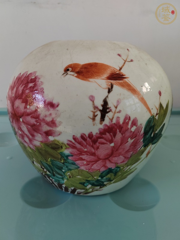 古玩陶瓷粉彩花鳥(niǎo)紋罐，1908年真品鑒賞圖