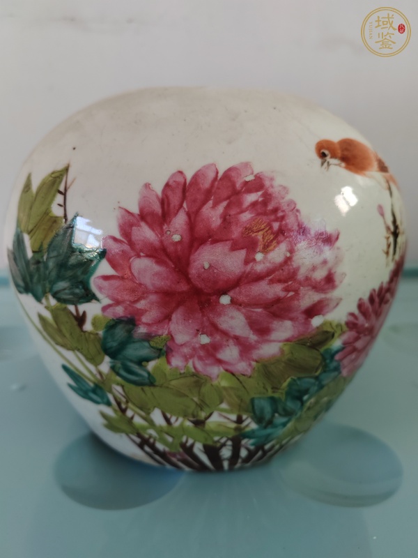 古玩陶瓷粉彩花鳥(niǎo)紋罐，1908年真品鑒賞圖