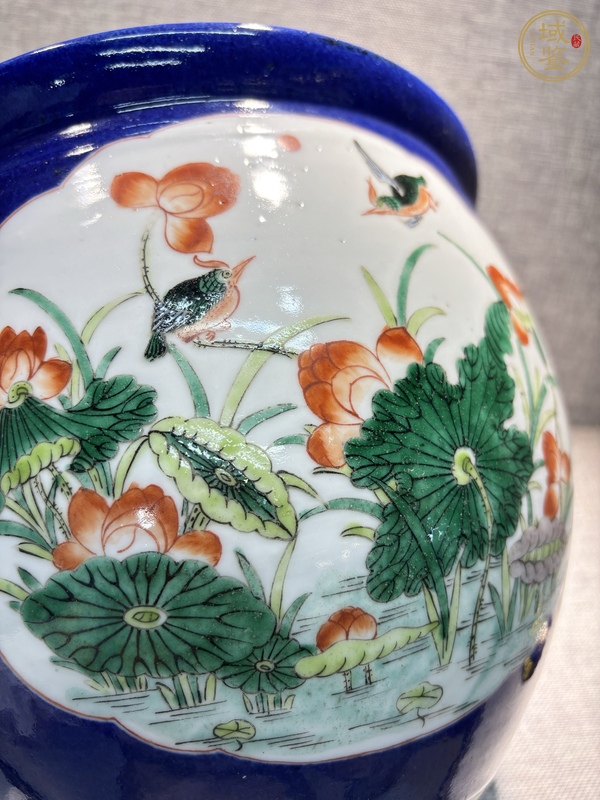 古玩陶瓷祭藍(lán)釉五彩荷塘花鳥(niǎo)紋卷缸真品鑒賞圖