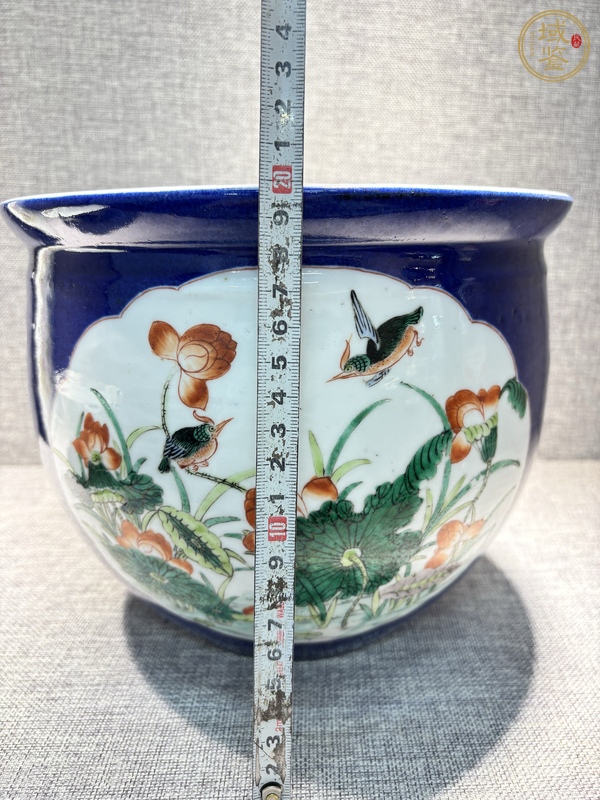 古玩陶瓷祭藍(lán)釉五彩荷塘花鳥(niǎo)紋卷缸真品鑒賞圖