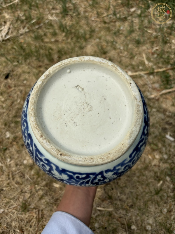 古玩陶瓷青花琵琶瓶 真品鑒賞圖