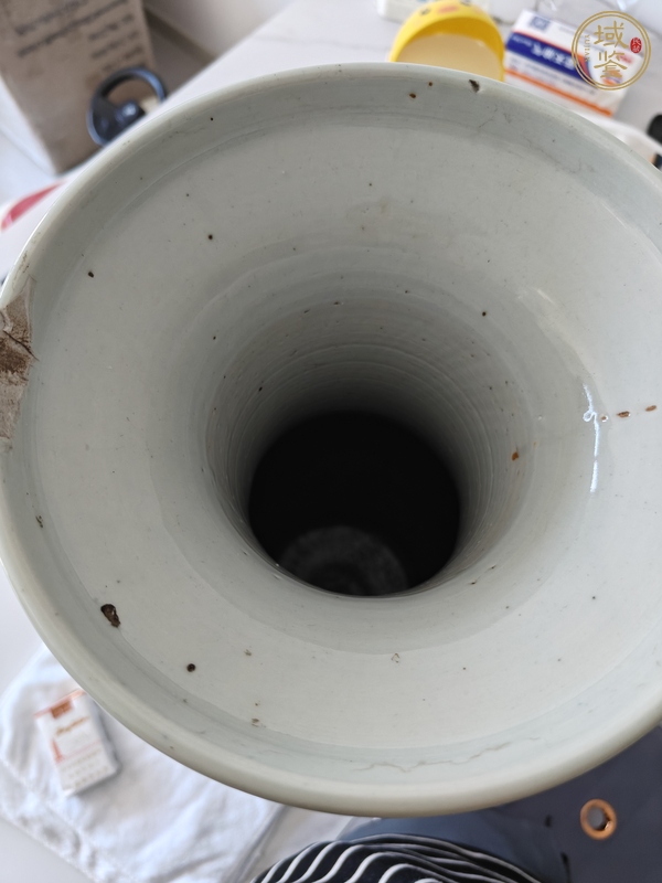 古玩陶瓷鳳凰牡丹青花瓶 真品鑒賞圖
