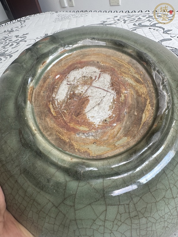 古玩陶瓷龍泉窯盤真品鑒賞圖