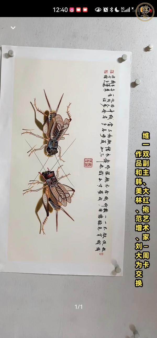 古玩字畫余新志熊貓墨竹圖橫披真品鑒賞圖