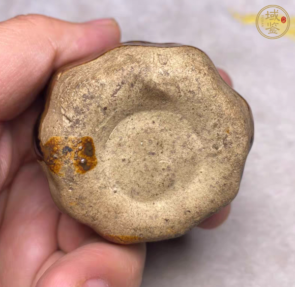 古玩陶瓷蛙型水注真品鑒賞圖