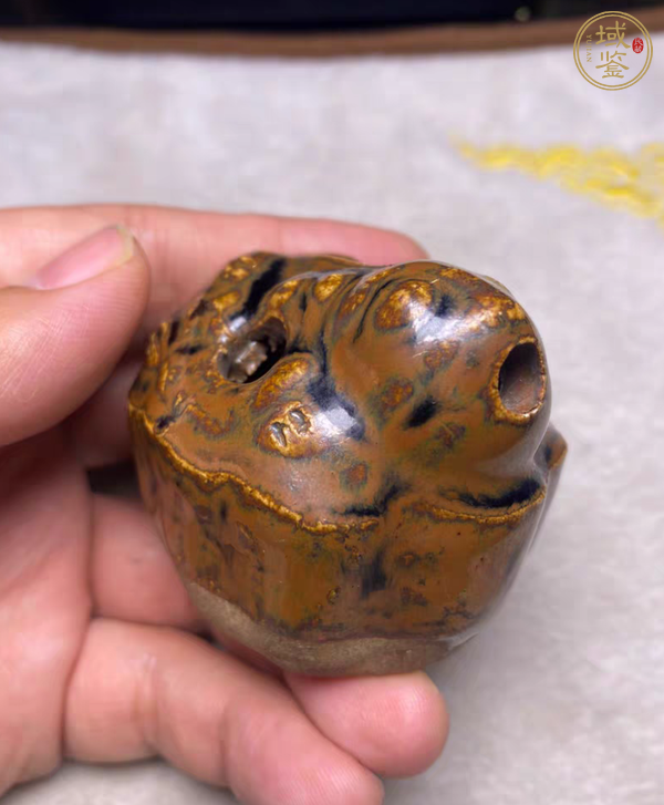 古玩陶瓷蛙型水注真品鑒賞圖