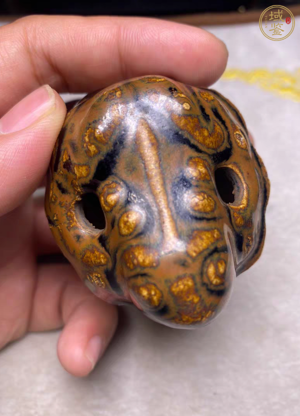 古玩陶瓷蛙型水注真品鑒賞圖