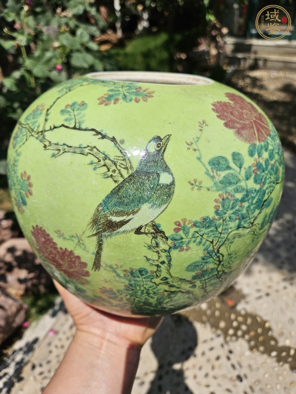 古玩陶瓷花鳥紋西瓜罐真品鑒賞圖
