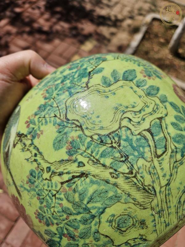 古玩陶瓷綠地粉彩花鳥紋罐真品鑒賞圖