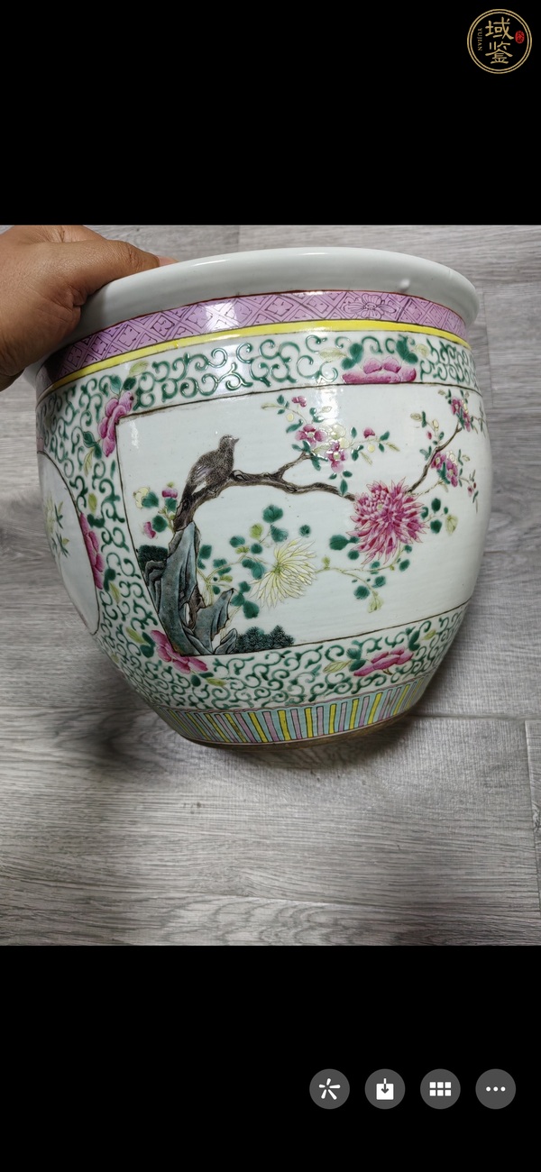 古玩陶瓷粉彩花鳥缸真品鑒賞圖