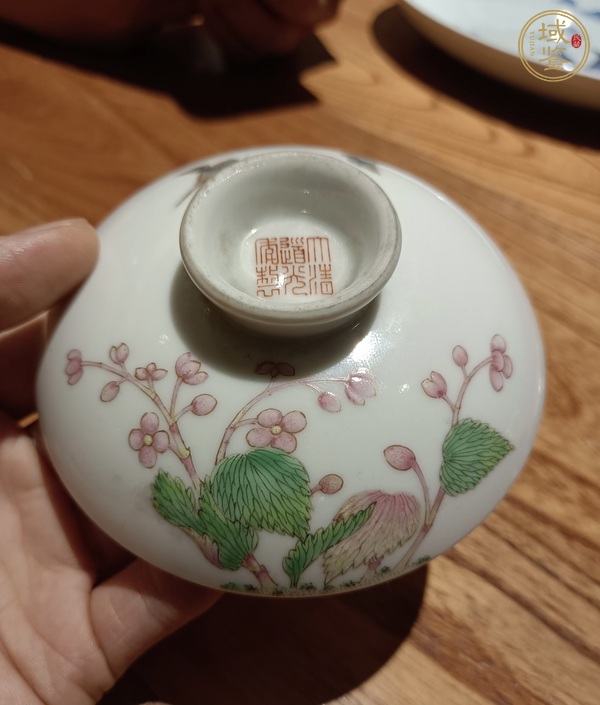 古玩陶瓷粉彩海棠春燕紋蓋真品鑒賞圖
