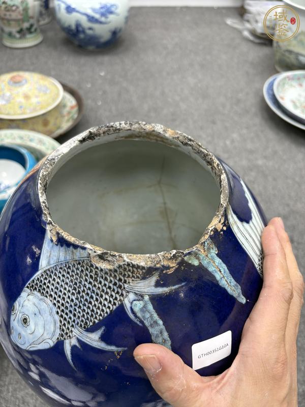 古玩陶瓷藍釉五彩魚紋瓶標本真品鑒賞圖