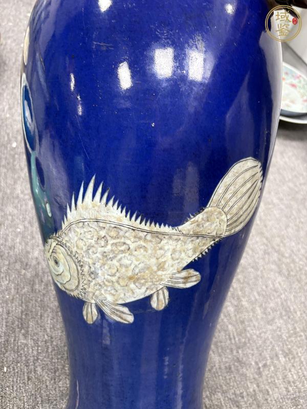古玩陶瓷藍釉五彩魚紋瓶標本真品鑒賞圖