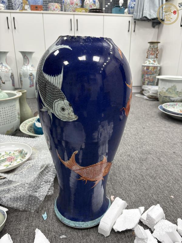 古玩陶瓷藍釉五彩魚紋瓶標本真品鑒賞圖