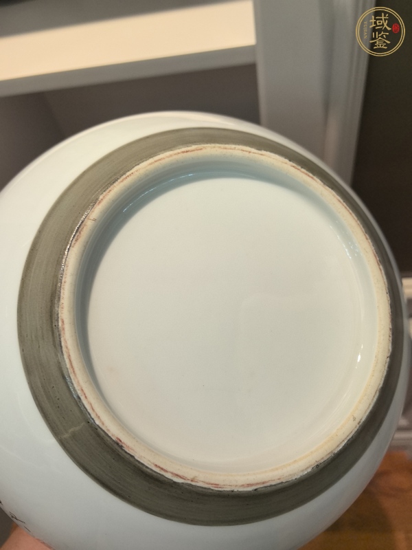 古玩陶瓷粉彩畫熊貓瓶真品鑒賞圖