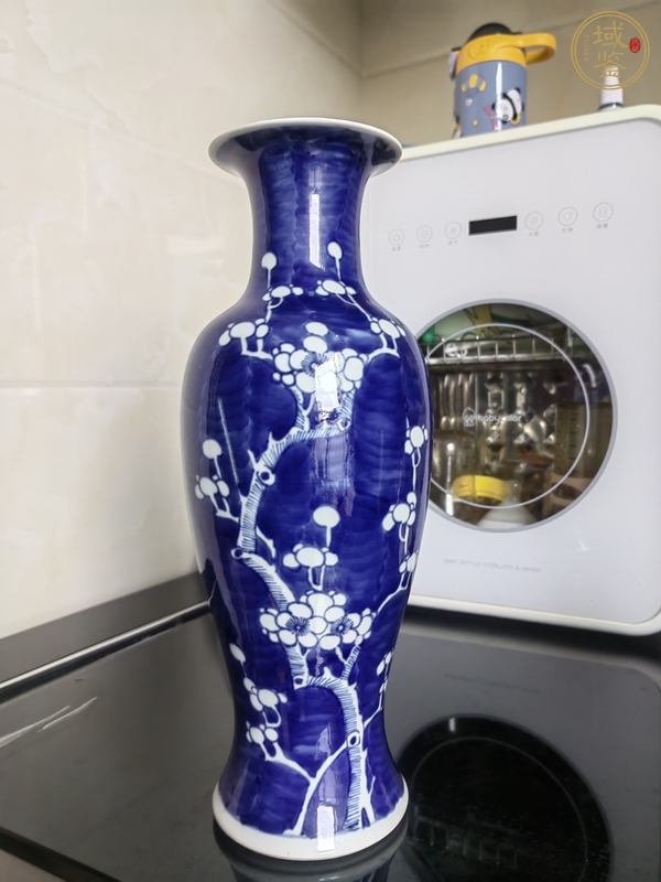 古玩陶瓷冰梅紋瓶真品鑒賞圖