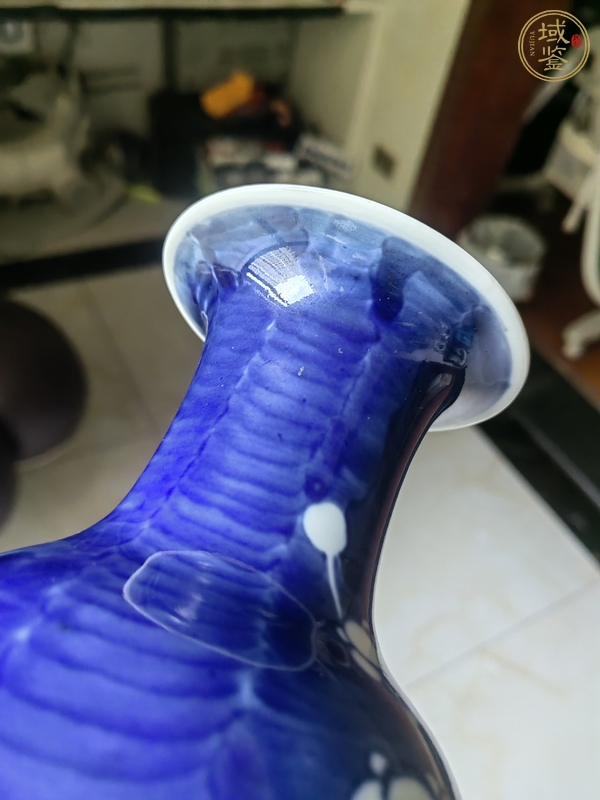 古玩陶瓷冰梅紋瓶真品鑒賞圖