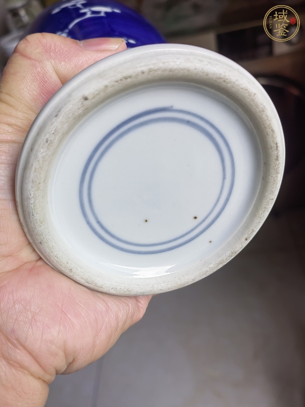 古玩陶瓷冰梅紋瓶真品鑒賞圖