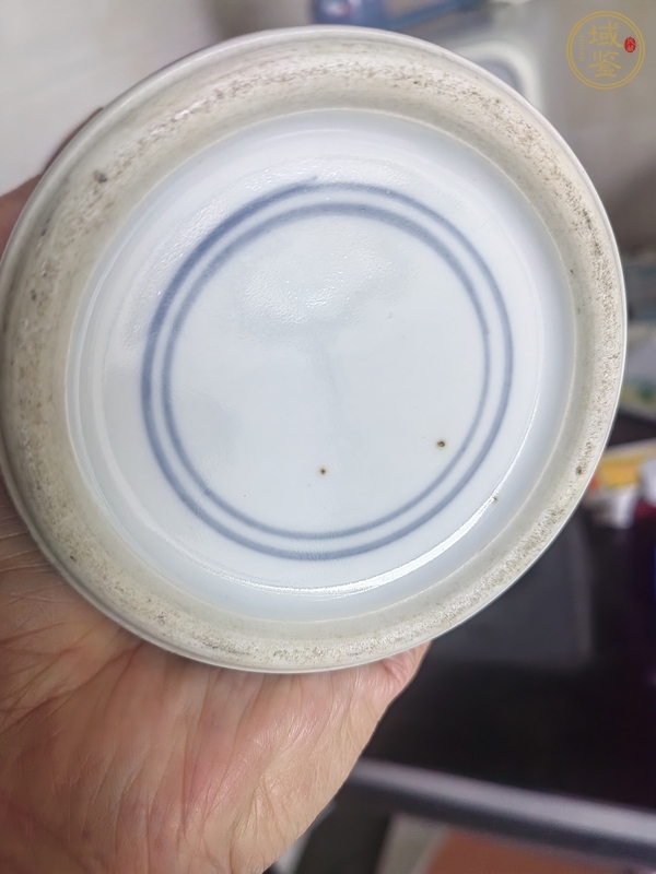 古玩陶瓷冰梅紋瓶真品鑒賞圖