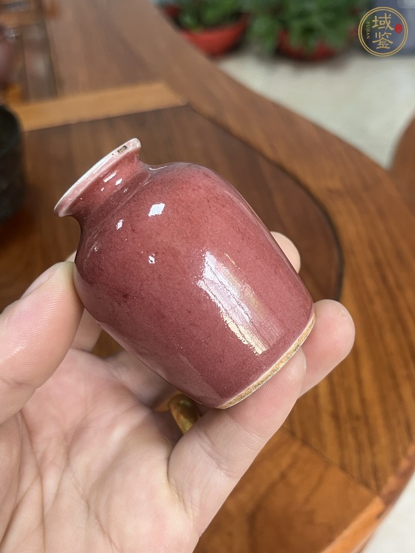 古玩陶瓷紅釉水盂真品鑒賞圖