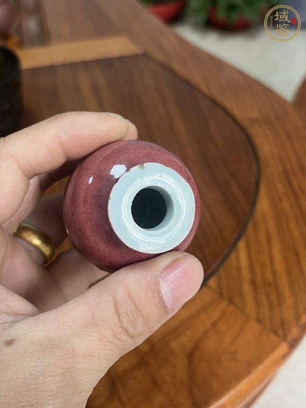 古玩陶瓷紅釉水盂真品鑒賞圖