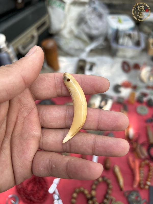 古玩牙真品鑒賞圖