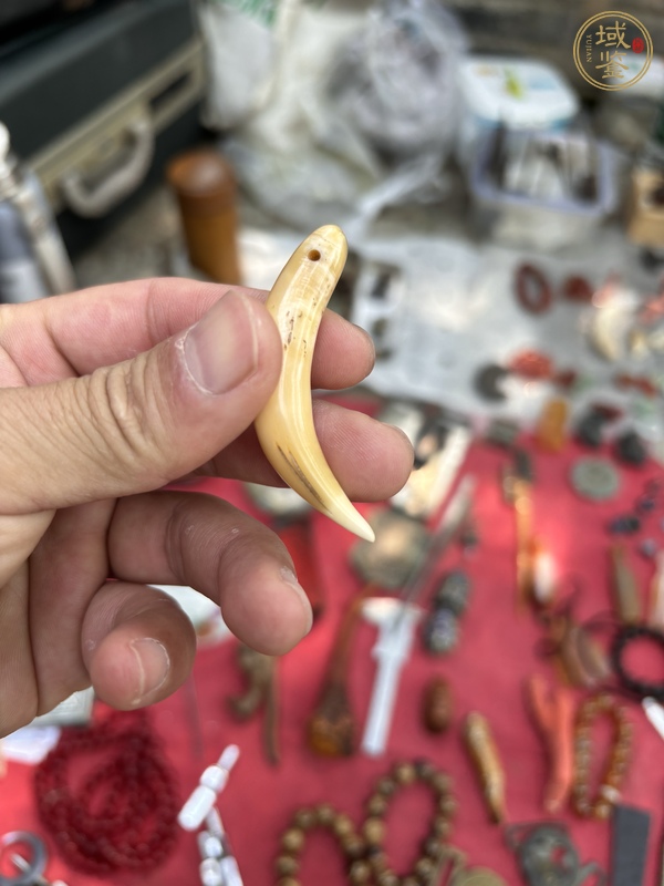 古玩雜項牙真品鑒賞圖