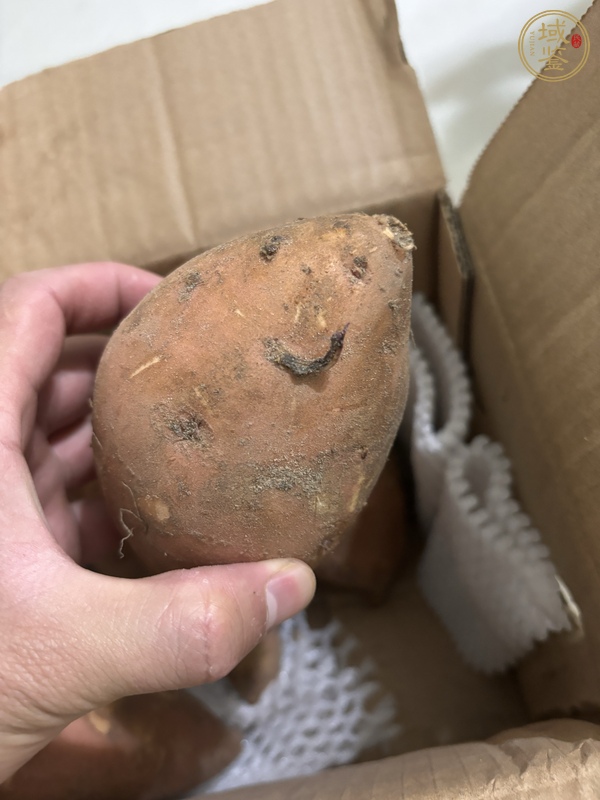 古玩雜項牙真品鑒賞圖