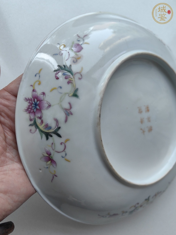 古玩陶瓷夔鳳紋粉彩盤真品鑒賞圖