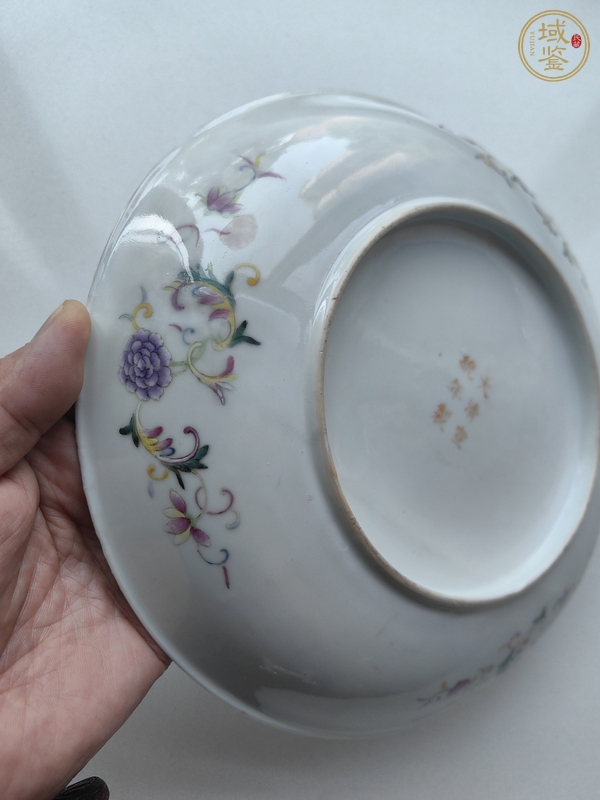古玩陶瓷夔鳳紋粉彩盤真品鑒賞圖