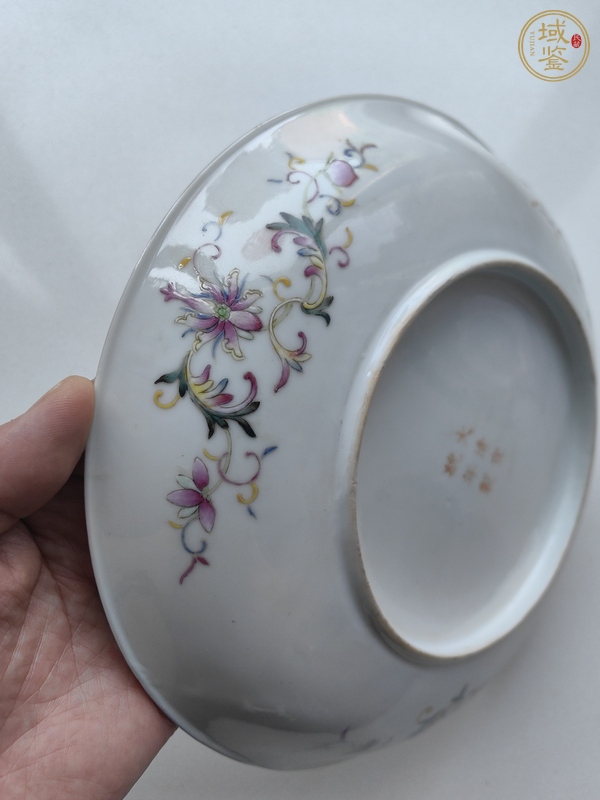 古玩陶瓷夔鳳紋粉彩盤真品鑒賞圖