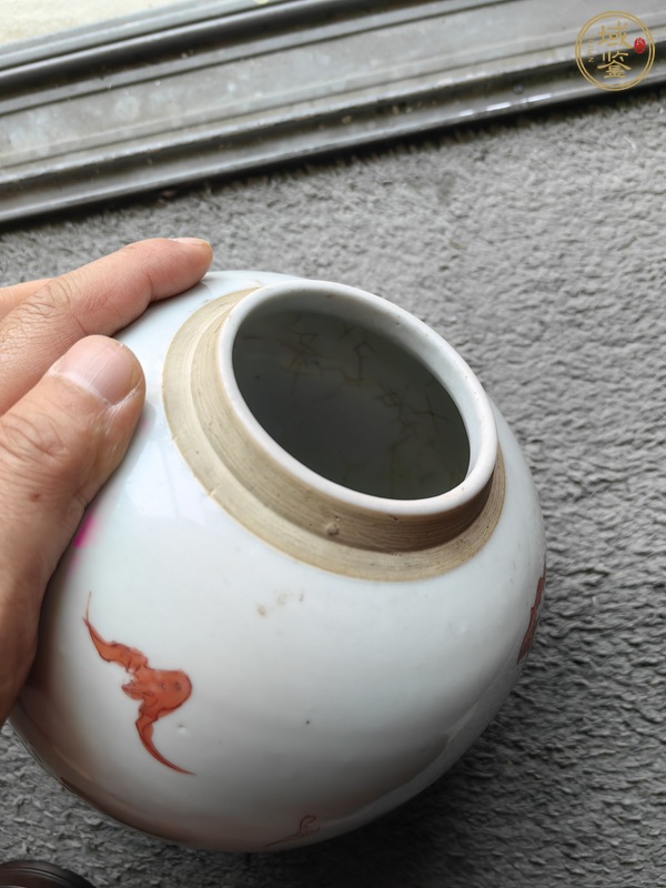 古玩陶瓷嬰戲紋粉彩罐真品鑒賞圖