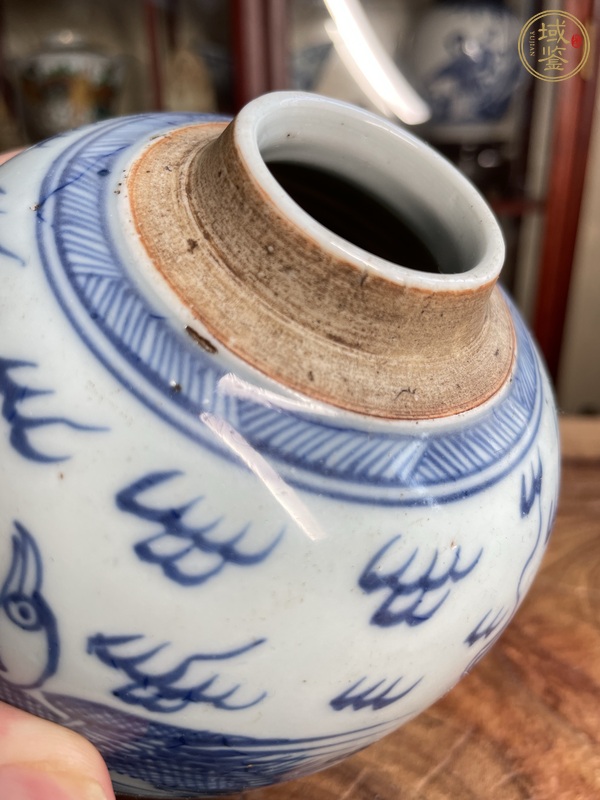 古玩陶瓷鶴紋青花罐真品鑒賞圖