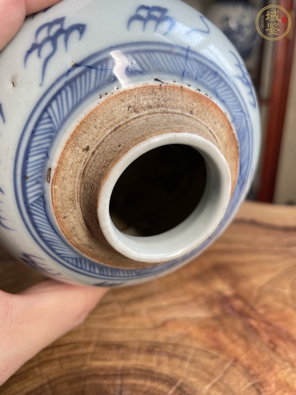 古玩陶瓷鶴紋青花罐真品鑒賞圖
