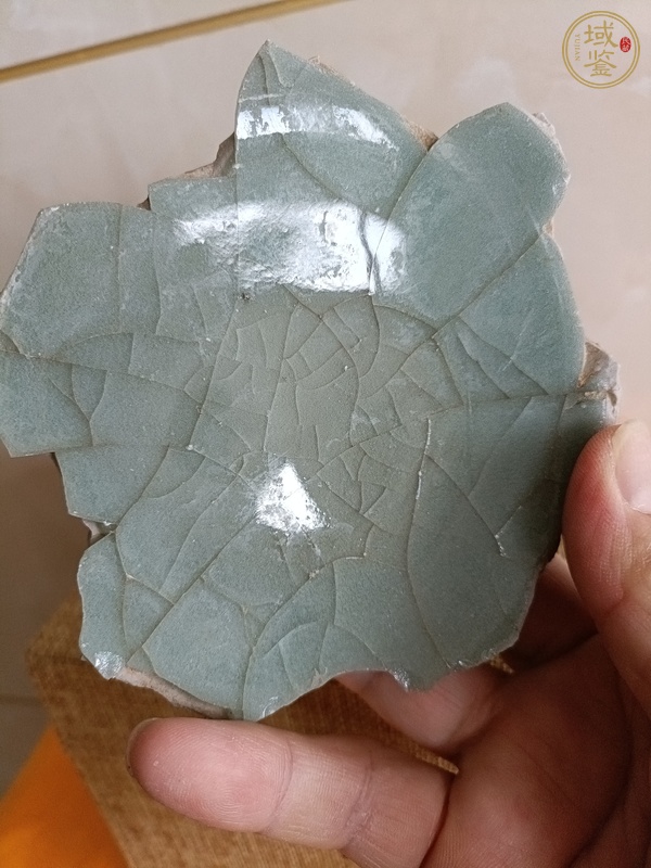古玩陶瓷龍泉官標本真品鑒賞圖