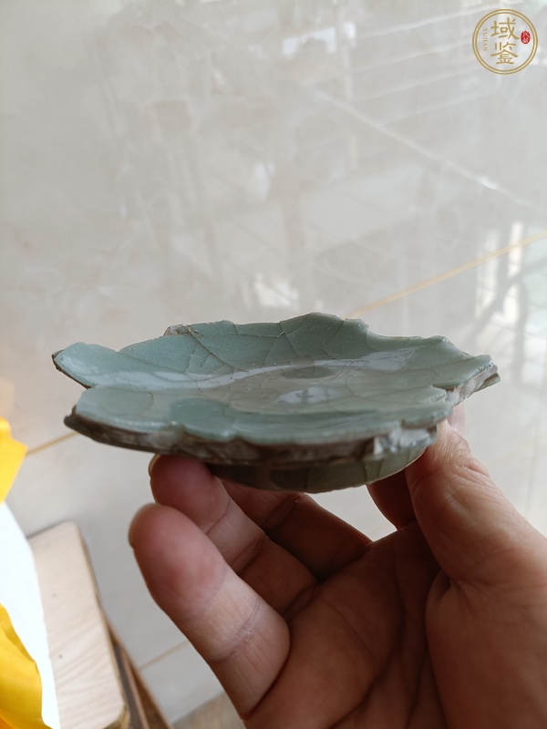 古玩陶瓷龍泉官標本真品鑒賞圖