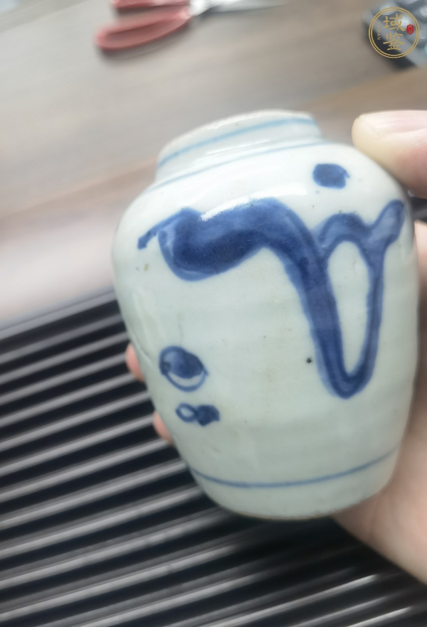古玩陶瓷罐真品鑒賞圖