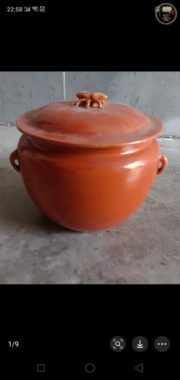 古玩珊瑚紅釉四系粥罐真品鑒賞圖