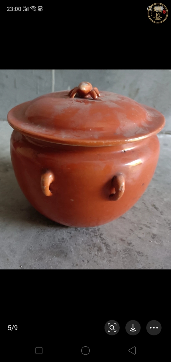 古玩陶瓷珊瑚紅釉四系粥罐真品鑒賞圖