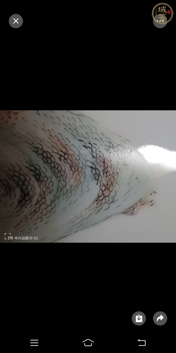 古玩陶瓷青花邊紋粉彩山水紋帽筒真品鑒賞圖
