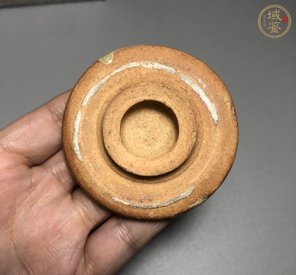 古玩陶瓷元 龍泉窯蓋罐真品鑒賞圖