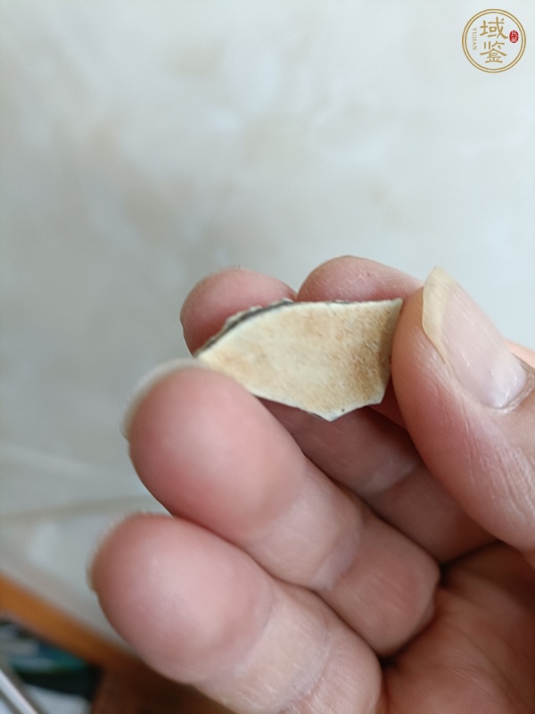 古玩陶瓷官窯標本真品鑒賞圖