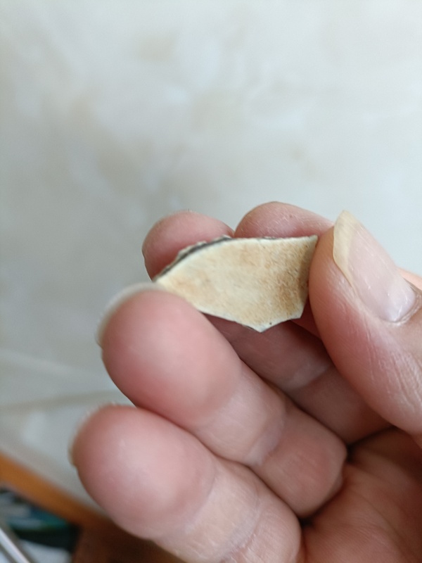 古玩陶瓷宋代五大名窯之一官窯標(biāo)本(4件)拍賣，當(dāng)前價(jià)格298元
