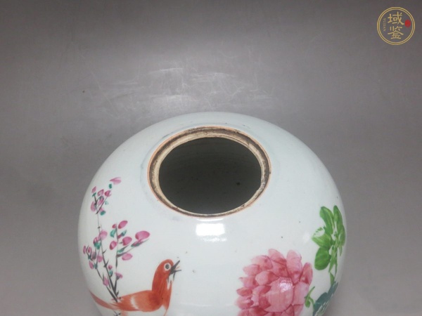古玩陶瓷粉彩花鳥紋西瓜罐真品鑒賞圖