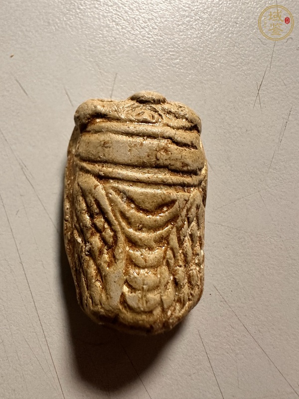 古玩地方料蟬型佩真品鑒賞圖