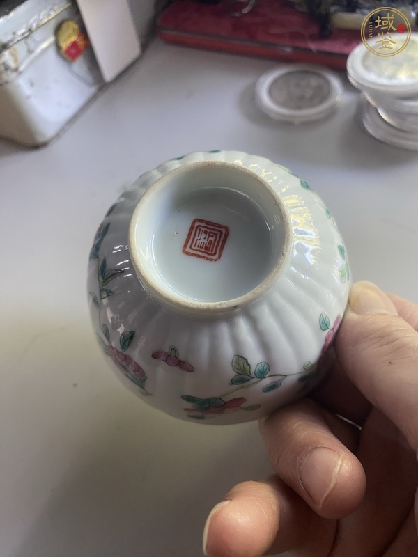 古玩陶瓷粉彩蟲草紋茶碗真品鑒賞圖