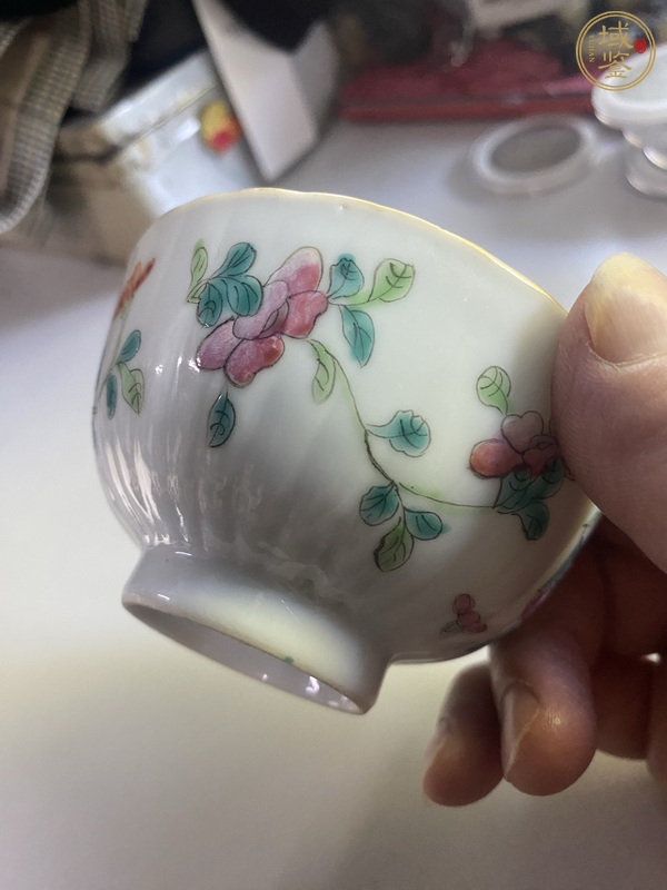 古玩陶瓷粉彩蟲草紋茶碗真品鑒賞圖