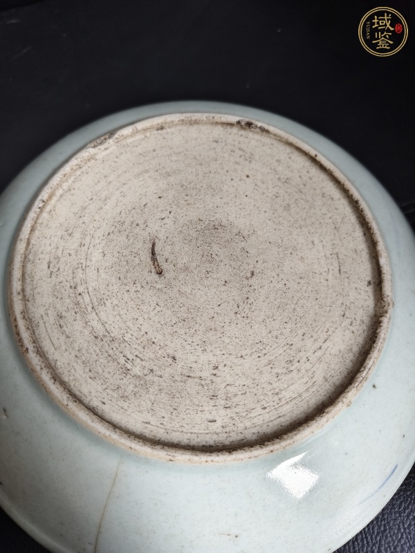 古玩陶瓷魚藻紋盤真品鑒賞圖