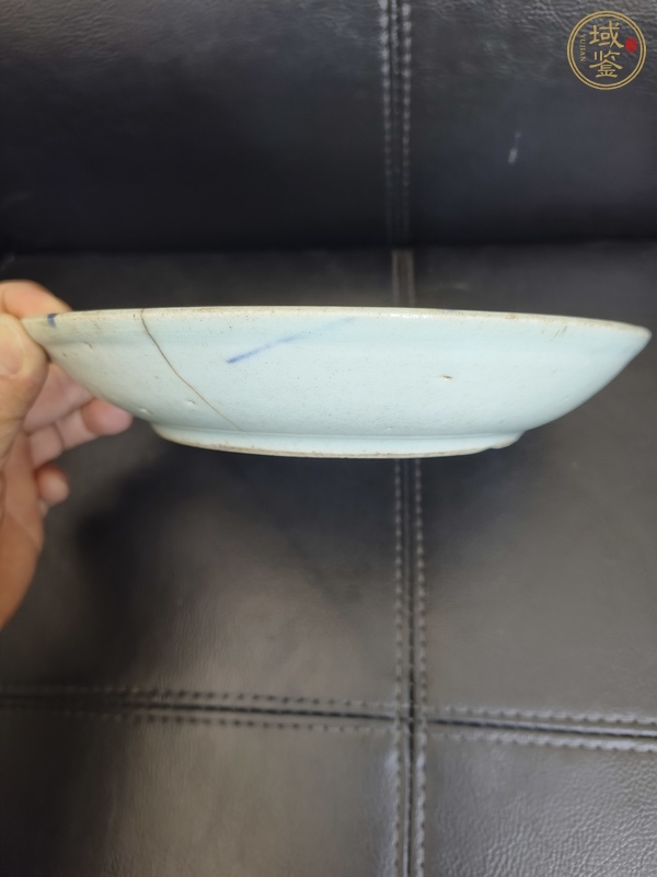 古玩陶瓷魚藻紋盤真品鑒賞圖